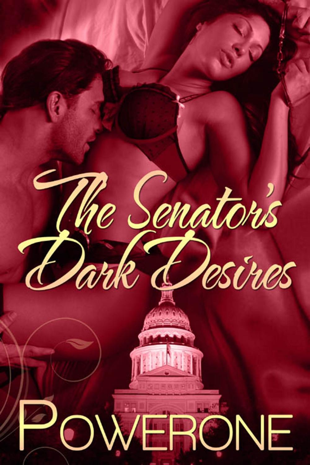 Big bigCover of The Senator's Dark Desires