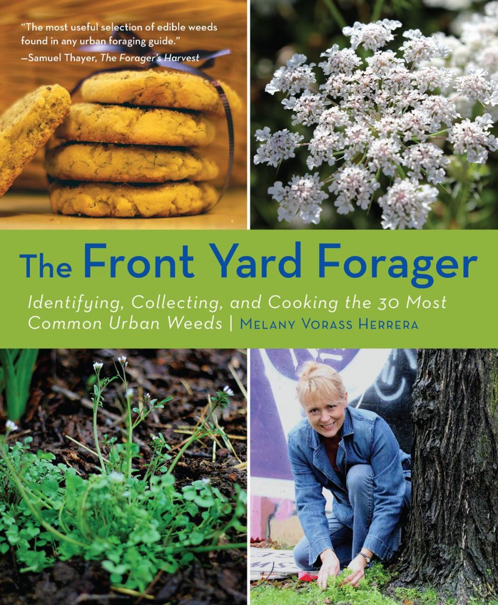 Big bigCover of Front Yard Forager