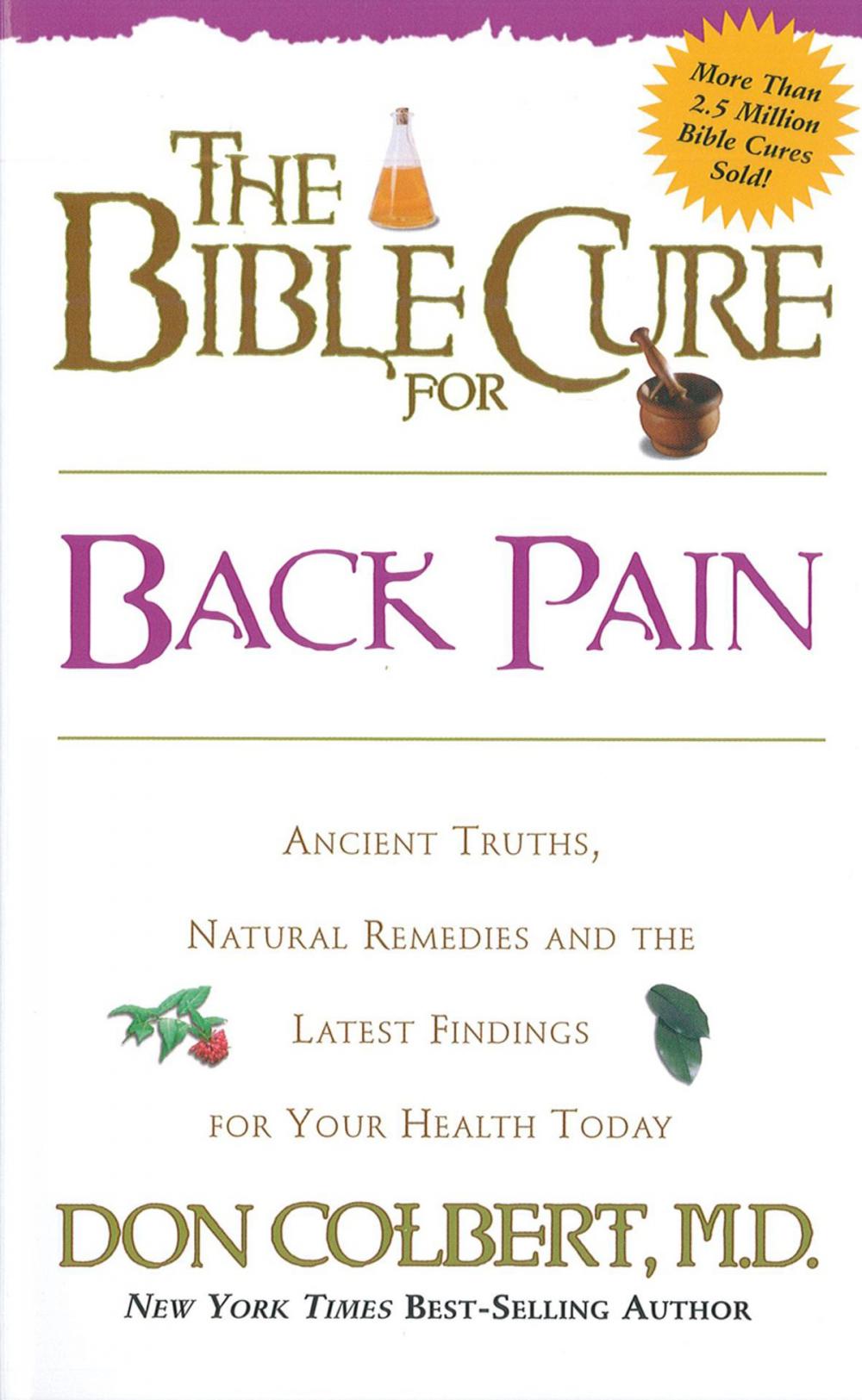 Big bigCover of The Bible Cure for Back Pain