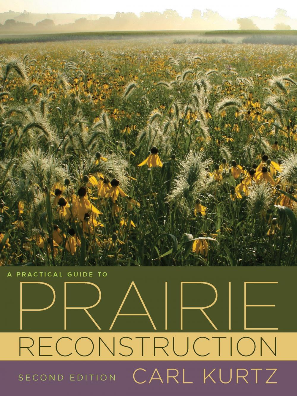 Big bigCover of A Practical Guide to Prairie Reconstruction