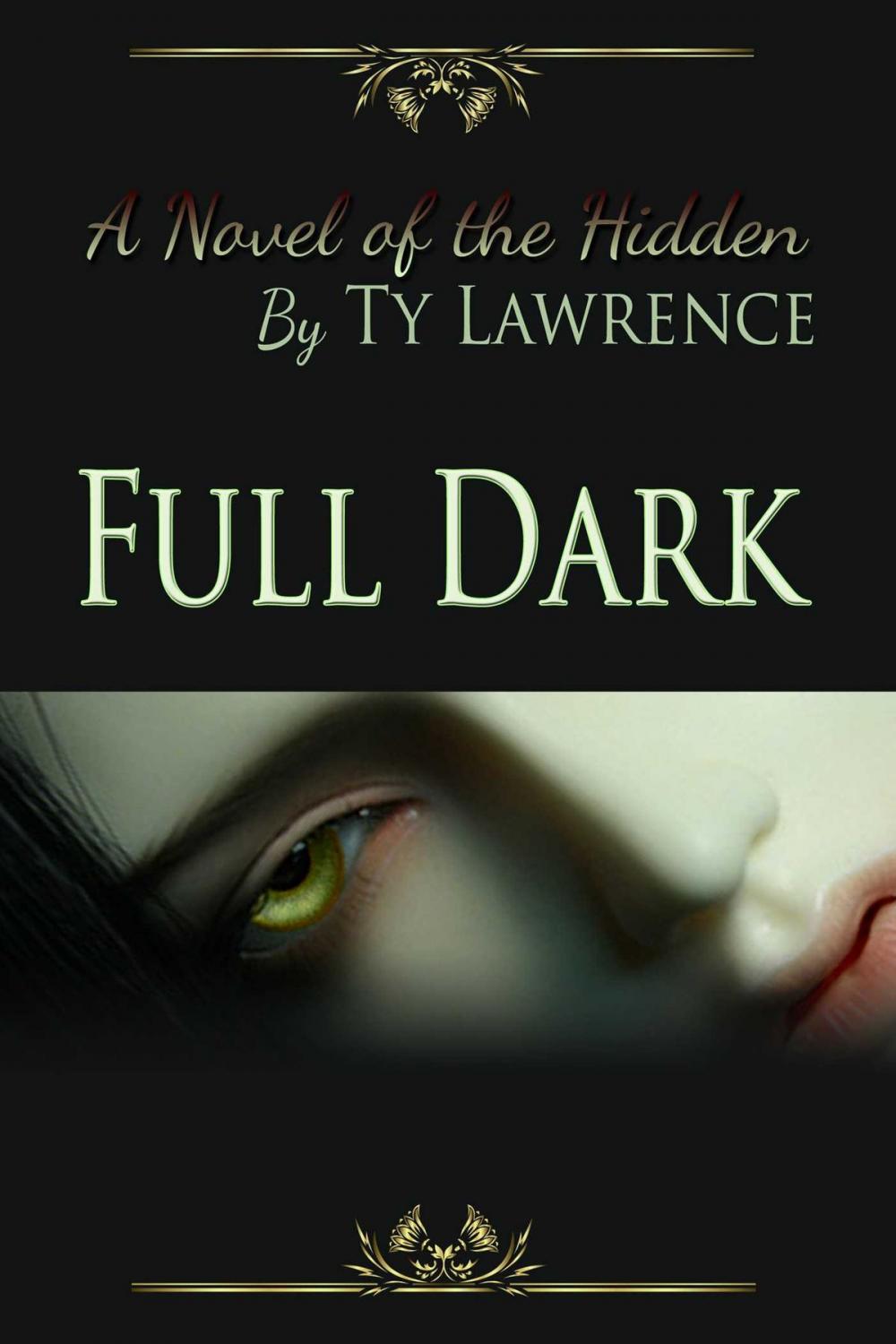 Big bigCover of Full Dark A Novel Of The Hidden