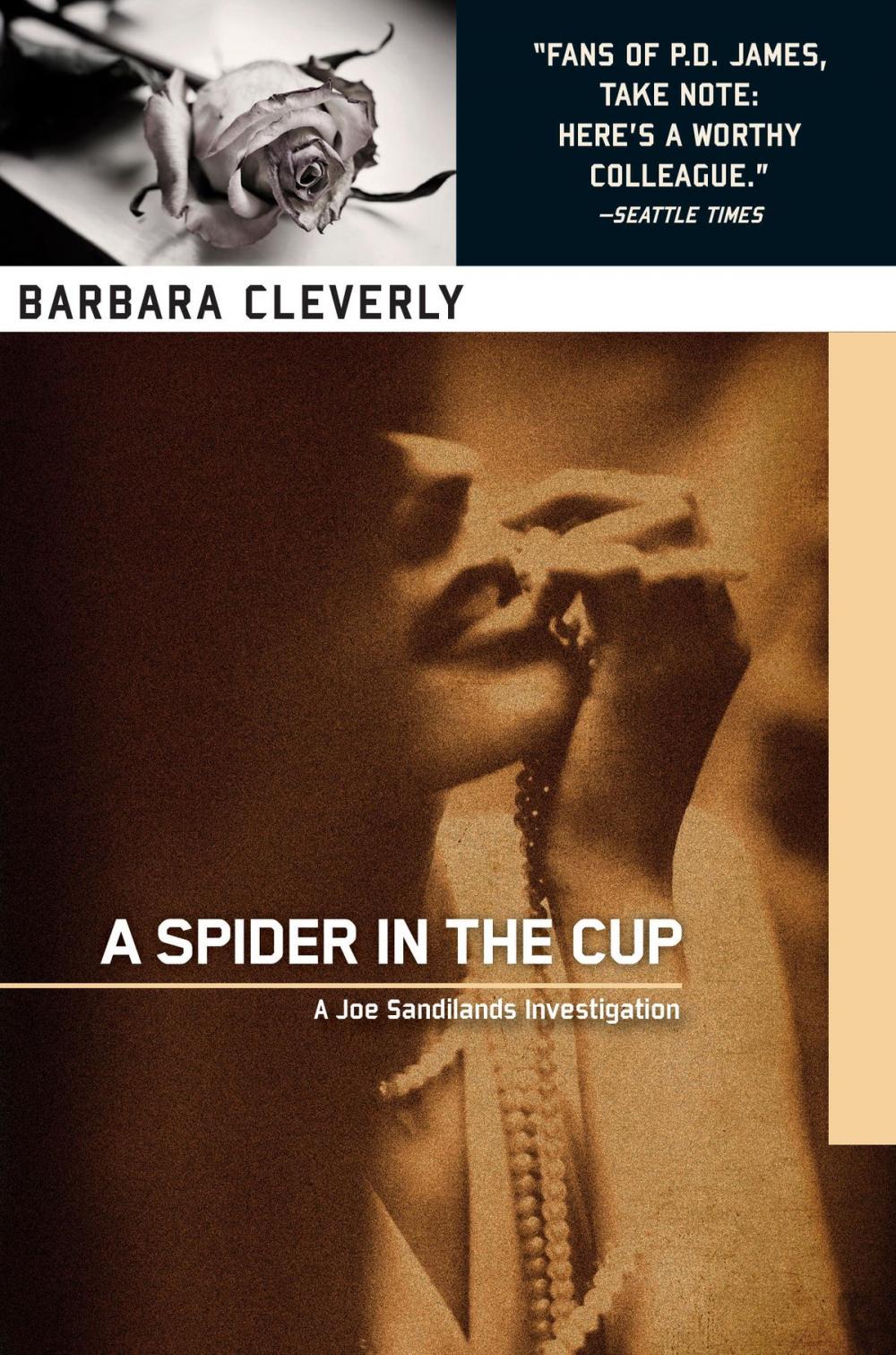 Big bigCover of A Spider in the Cup