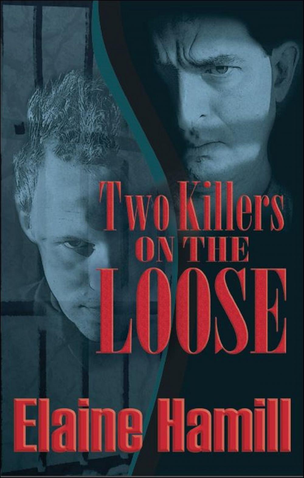 Big bigCover of Two Killers on the Loose