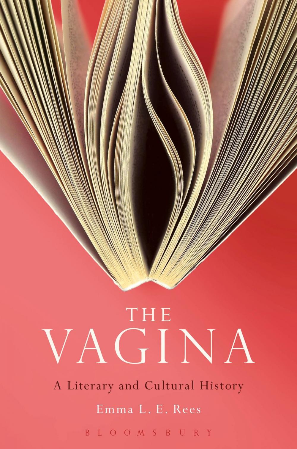 Big bigCover of The Vagina: A Literary and Cultural History