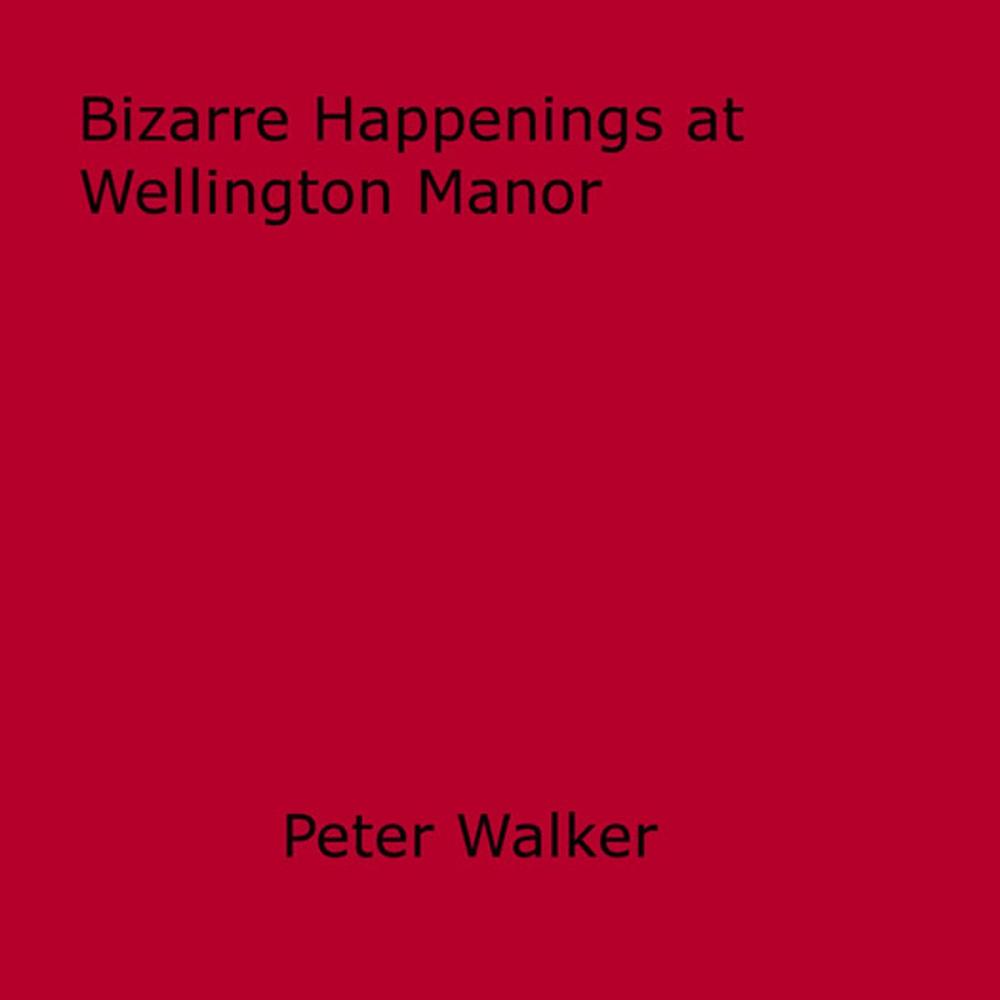Big bigCover of Bizarre Happenings at Wellington Manor