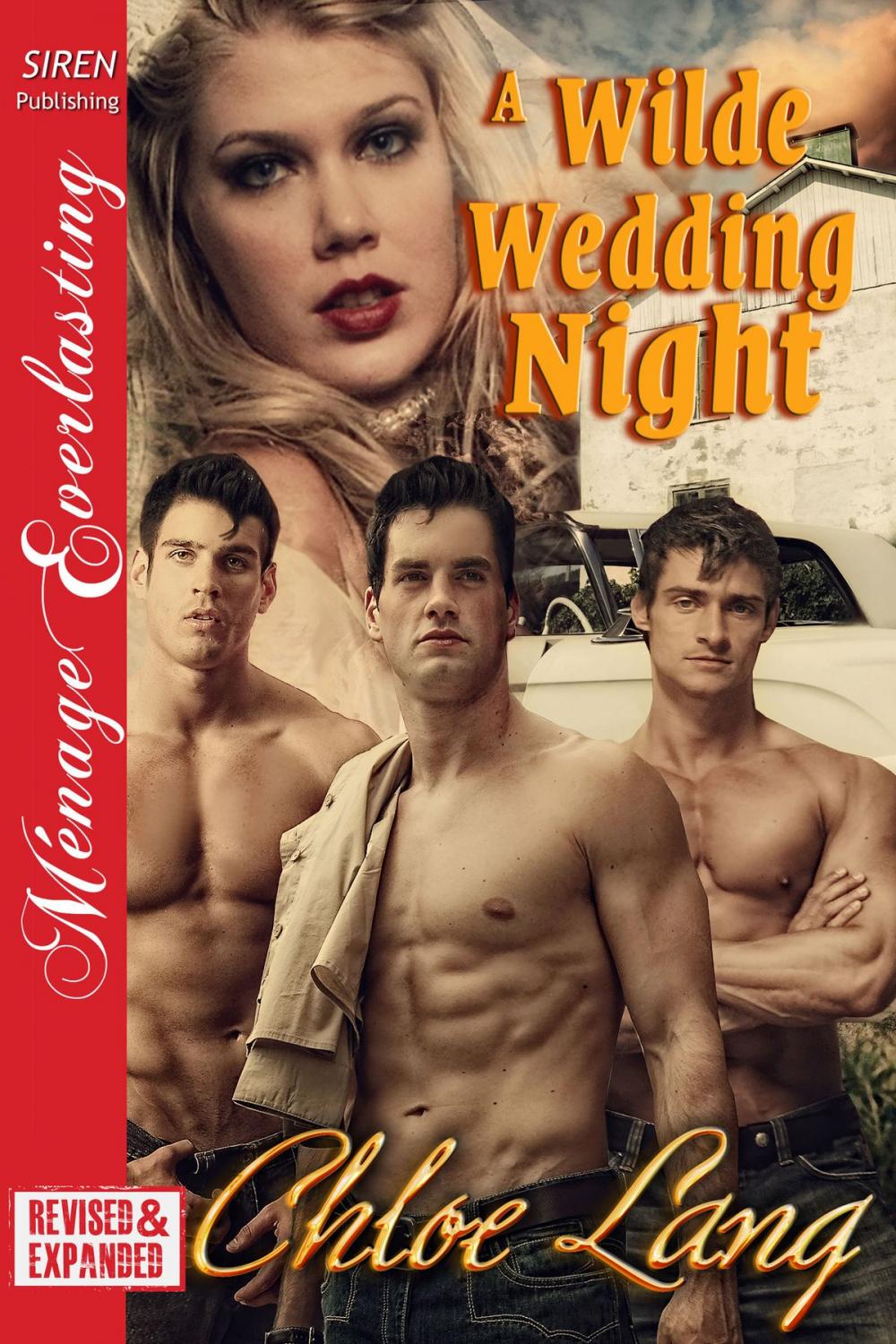 Big bigCover of A Wilde Wedding Night