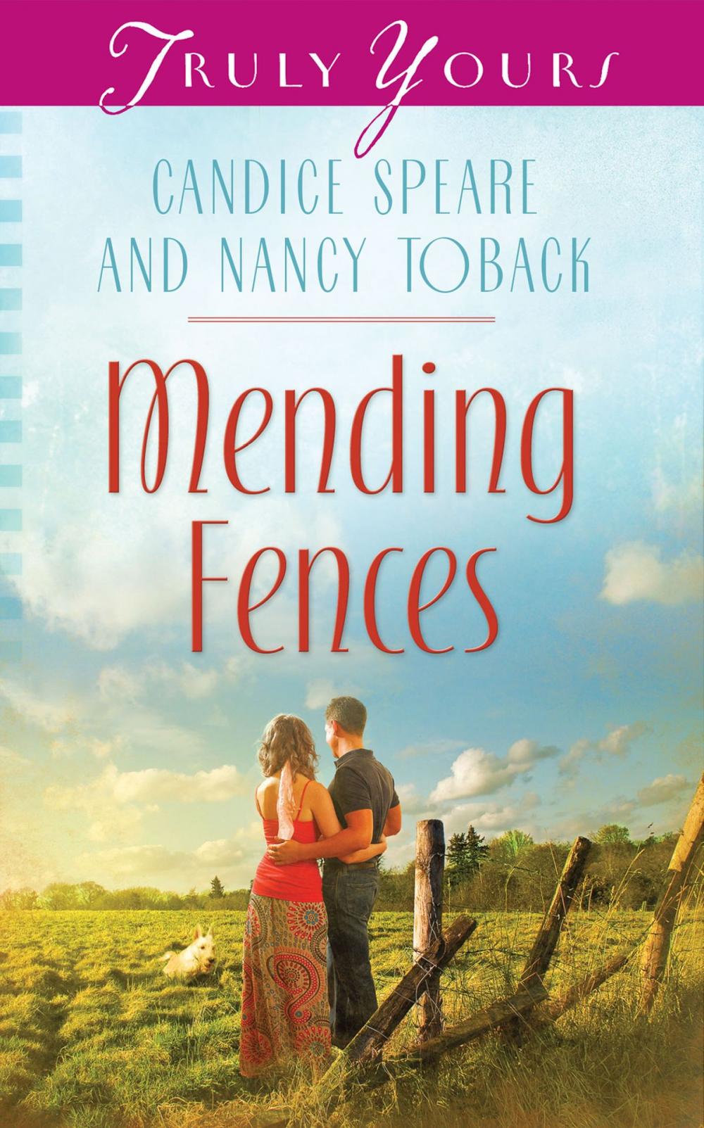 Big bigCover of Mending Fences