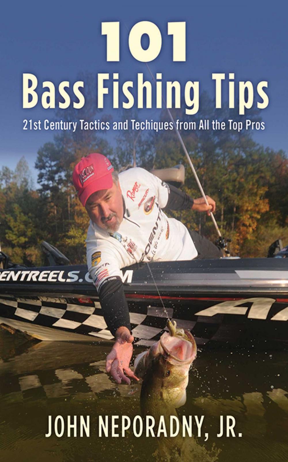 Big bigCover of 101 Bass Fishing Tips