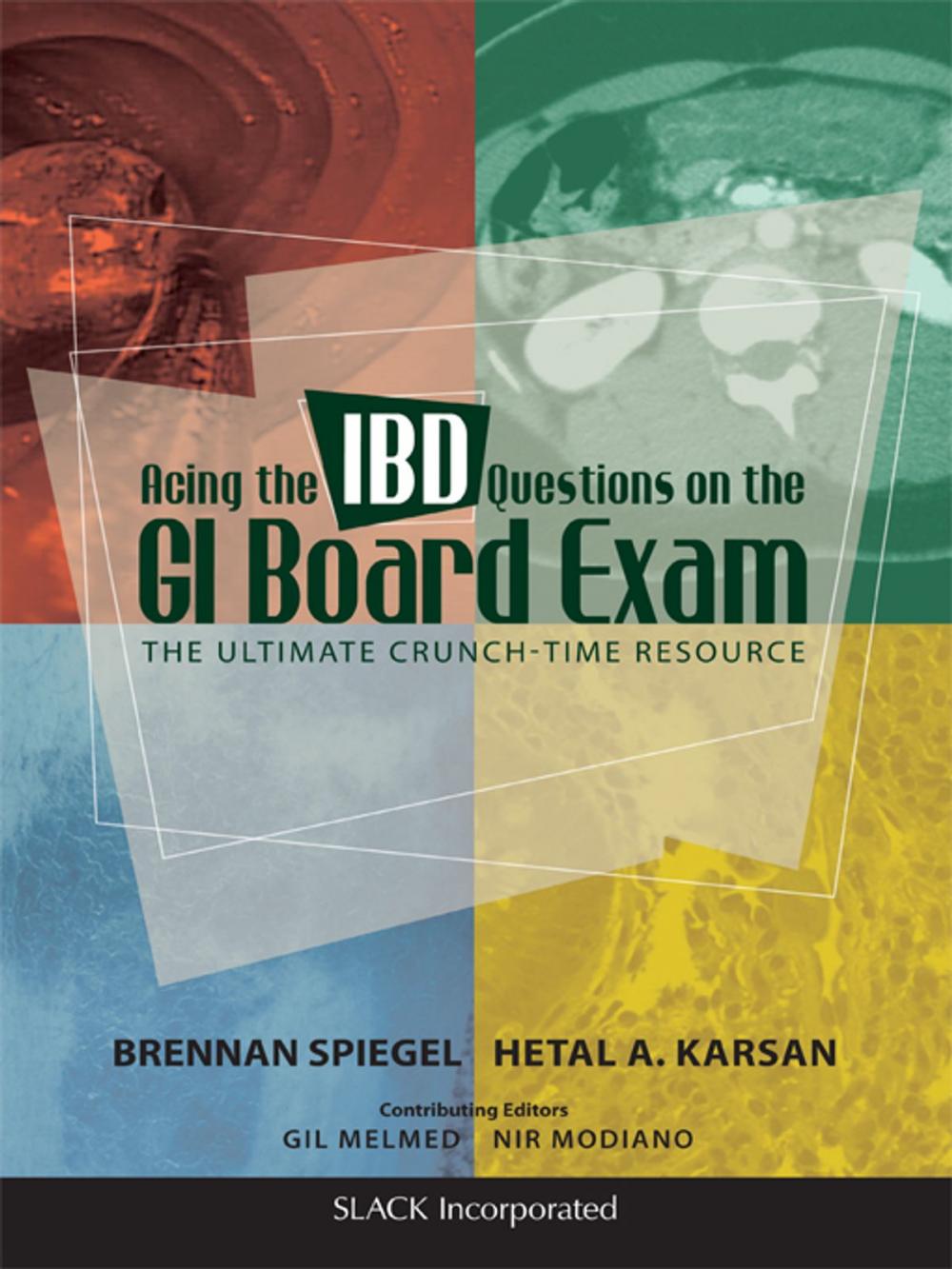 Big bigCover of Acing the IBD Questions on the GI Board Exam