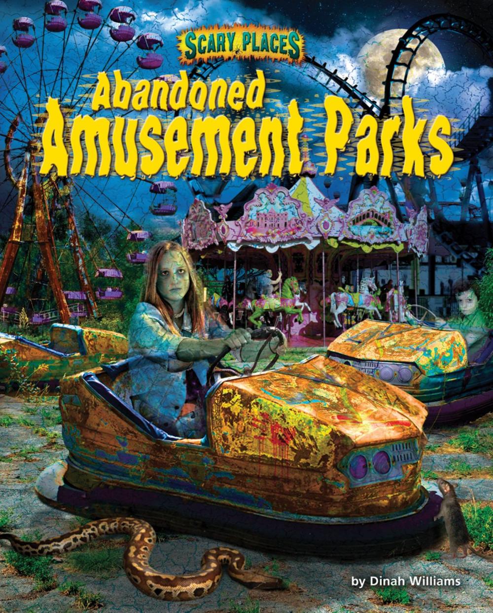 Big bigCover of Abandoned Amusement Parks