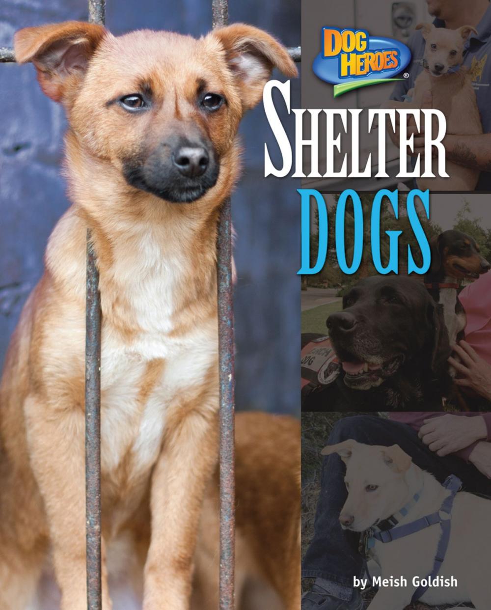 Big bigCover of Shelter Dogs