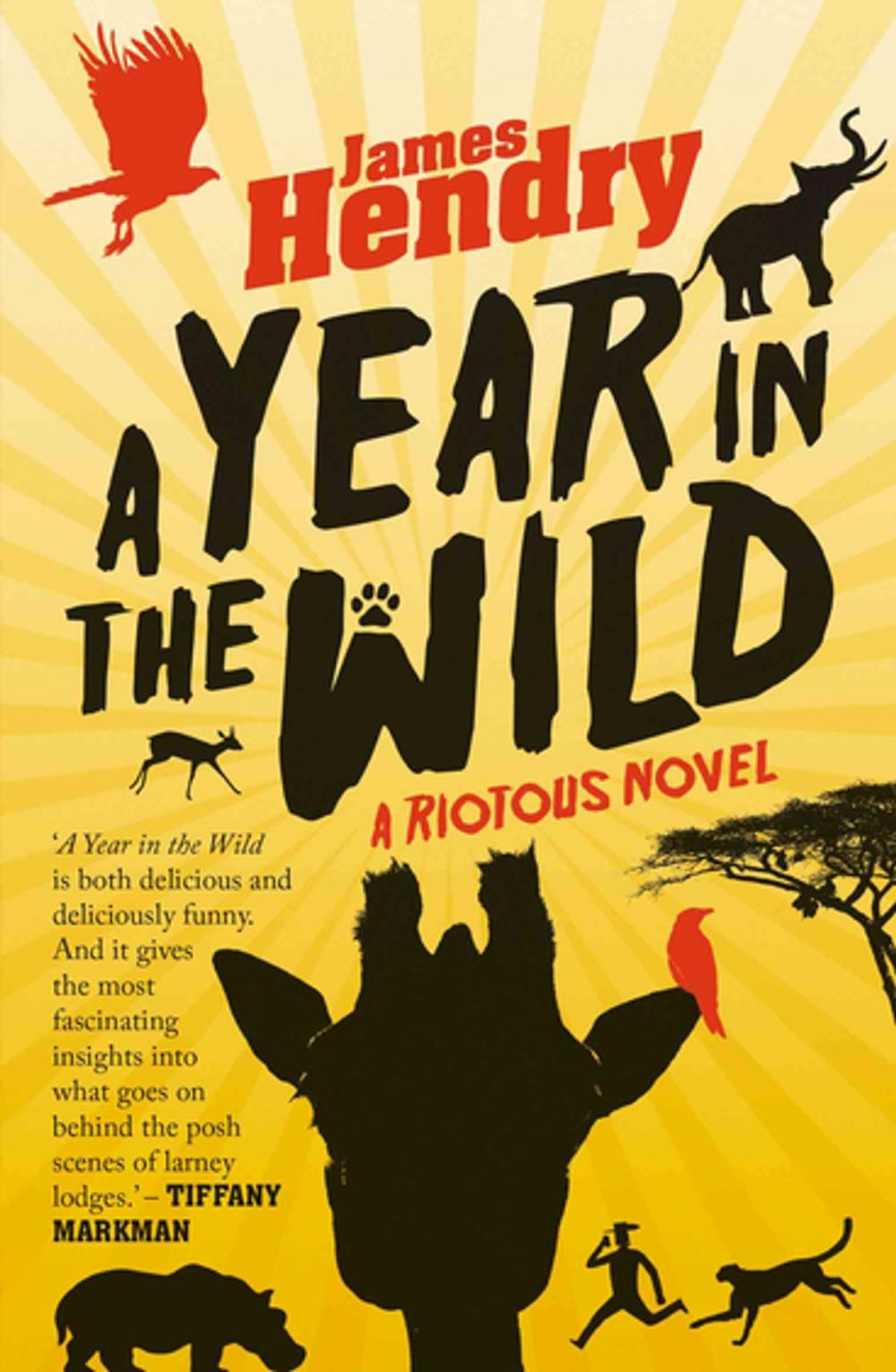 Big bigCover of A Year in the Wild