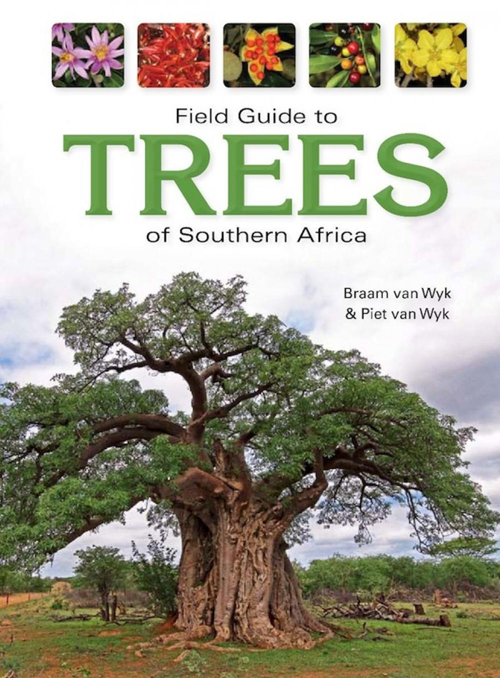 Big bigCover of Field Guide to Trees of Southern Africa