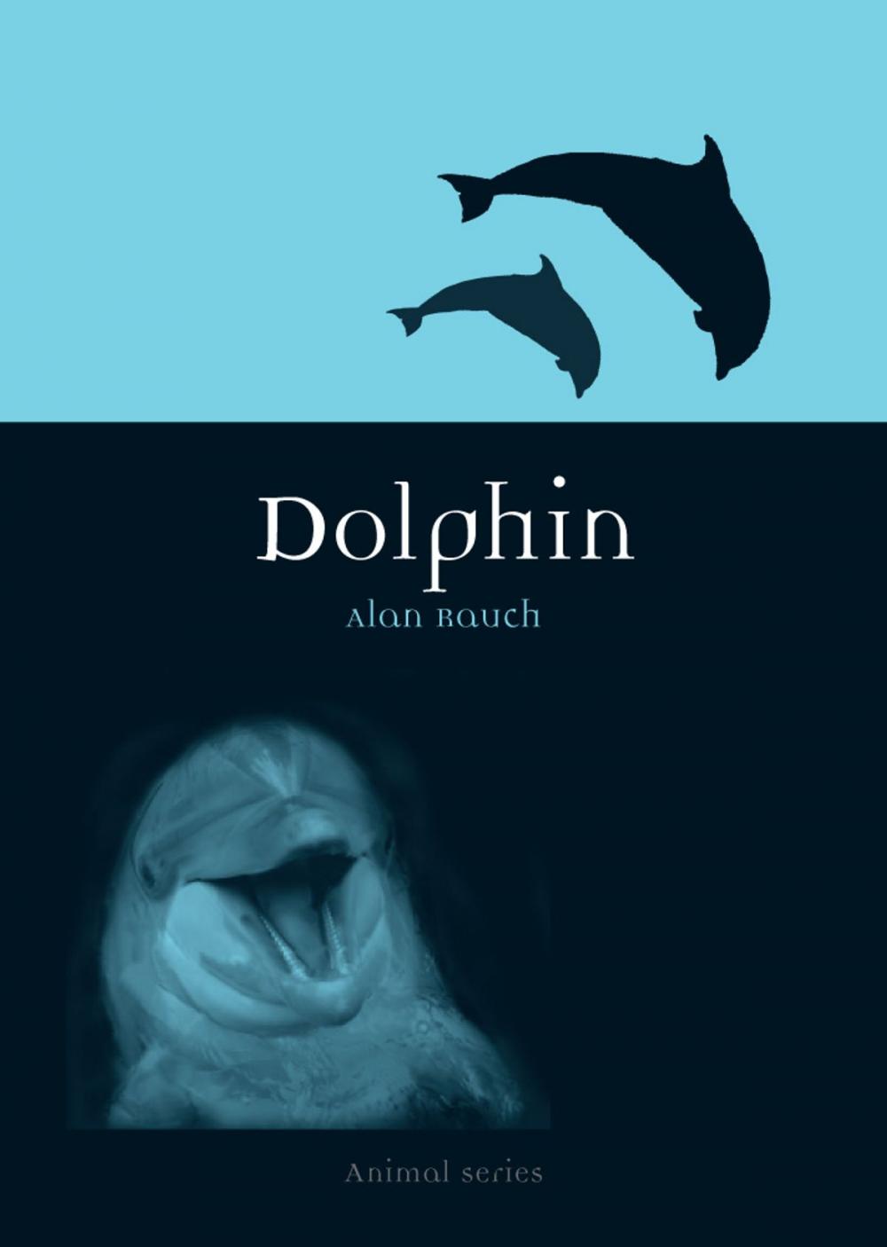 Big bigCover of Dolphin