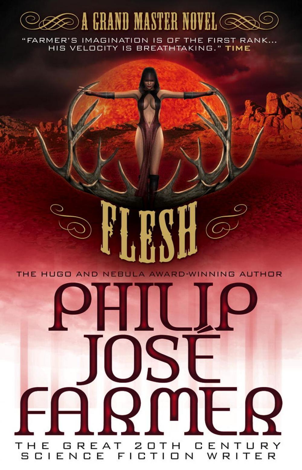 Big bigCover of Flesh