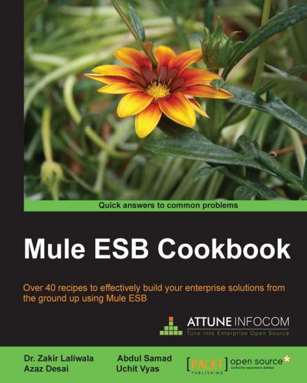 Big bigCover of Mule ESB Cookbook