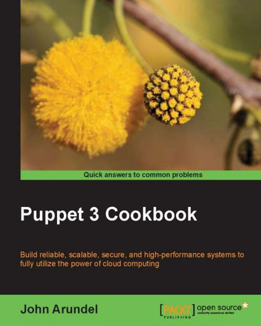 Big bigCover of Puppet 3 Cookbook