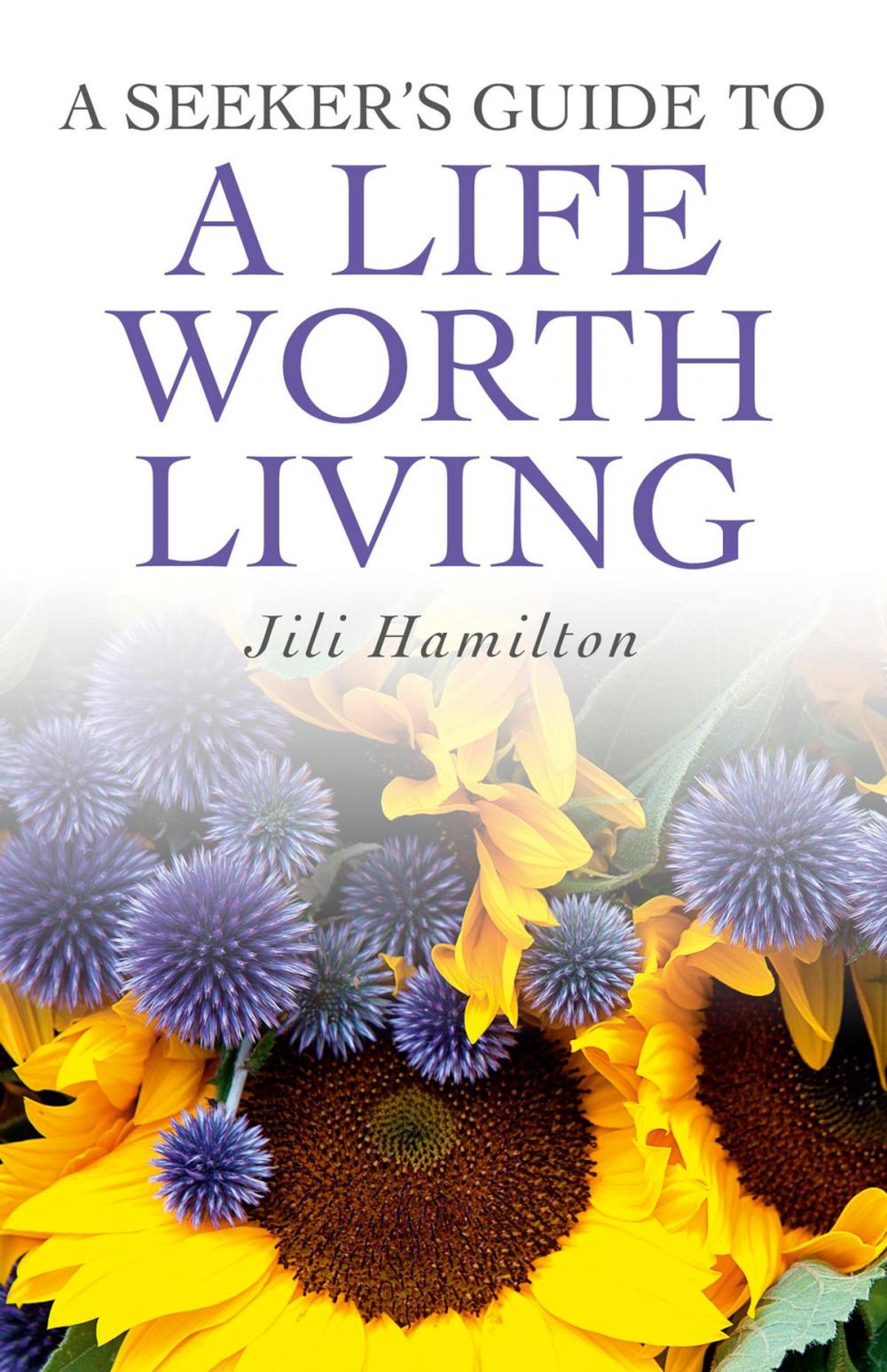 Big bigCover of A Seeker's Guide to a Life Worth Living