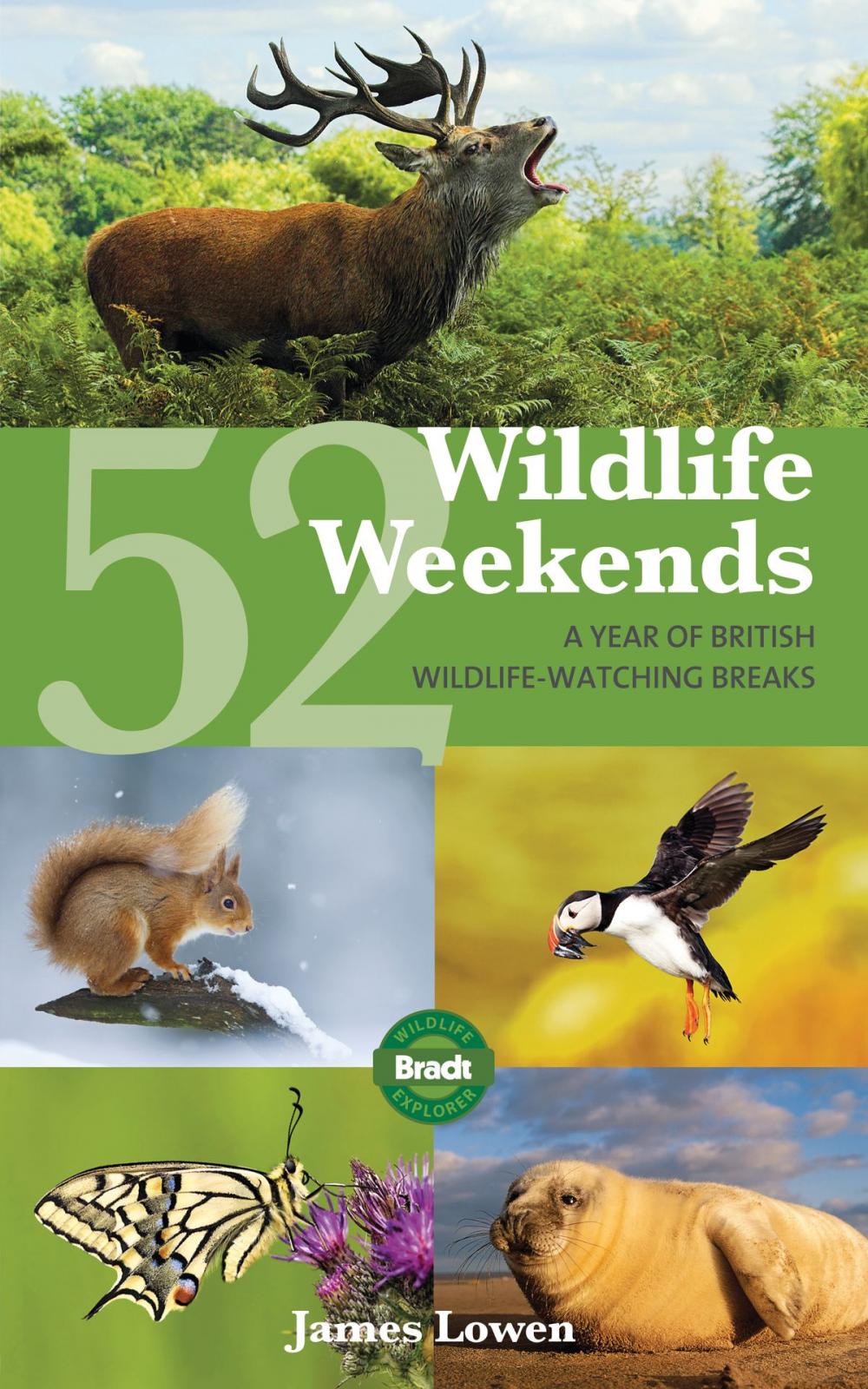 Big bigCover of 52 Wildlife Weekends: A Year of British Wildlife-Watching Breaks