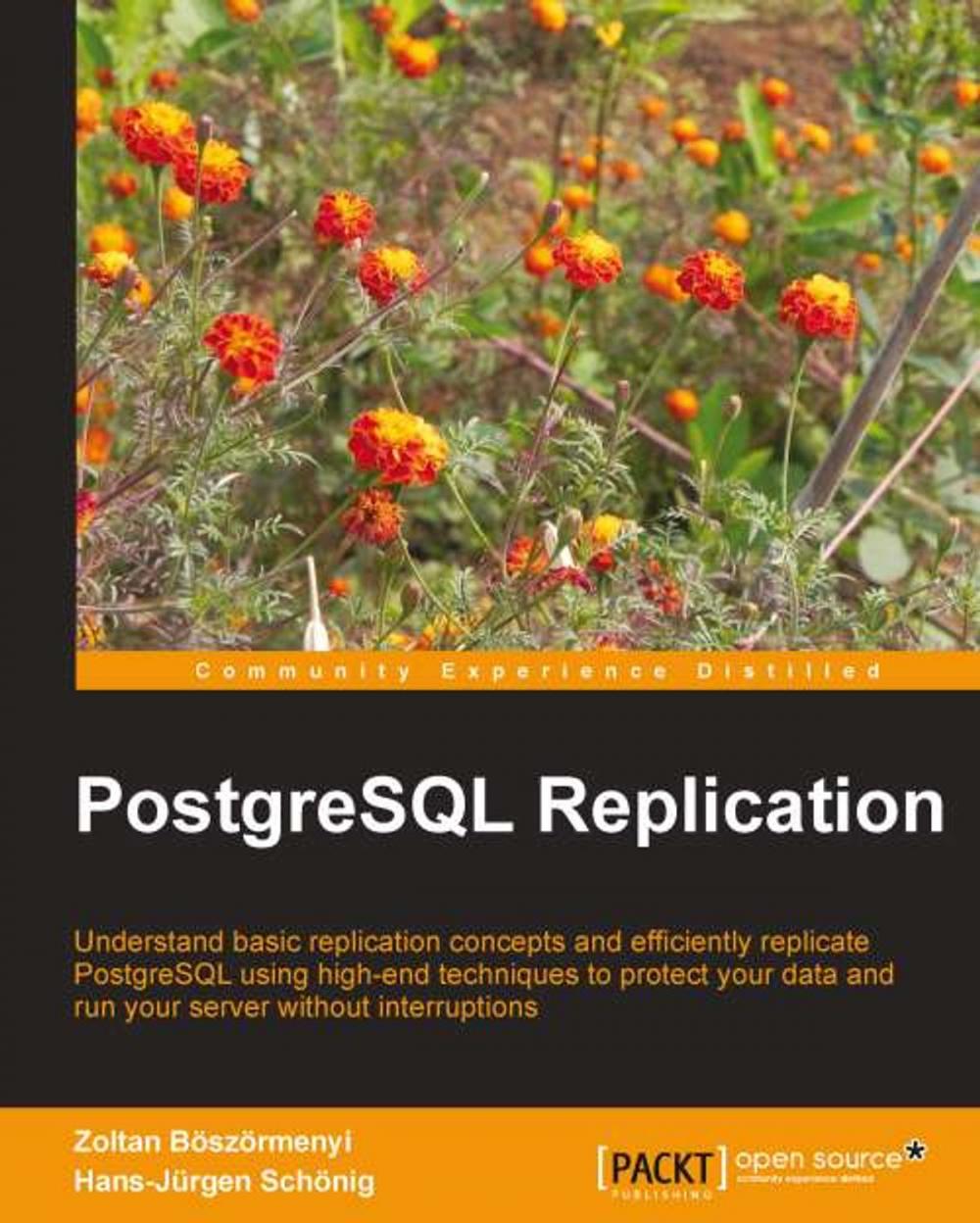 Big bigCover of PostgreSQL Replication