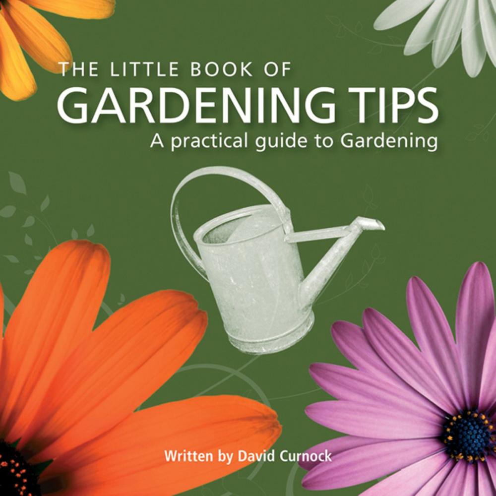 Big bigCover of Little Book of Gardening Tips