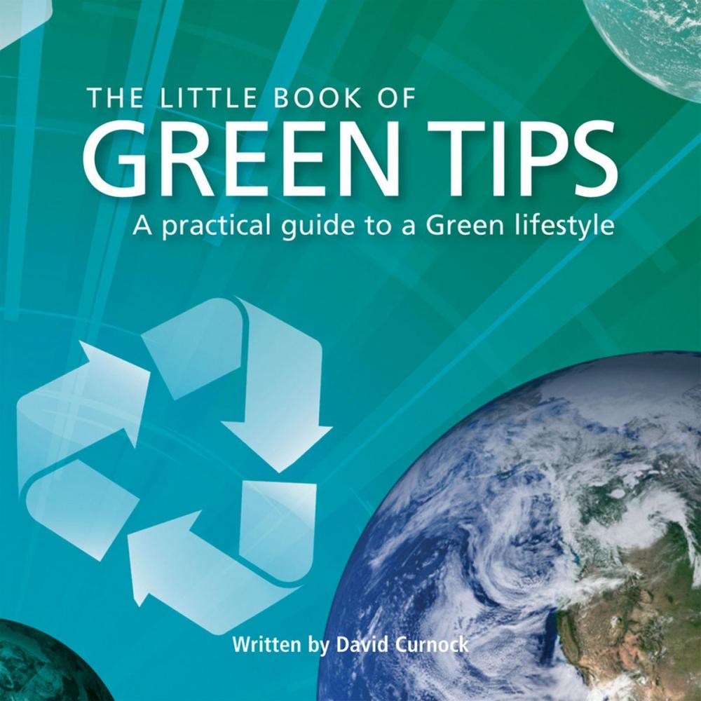 Big bigCover of Little Book of Green Tips