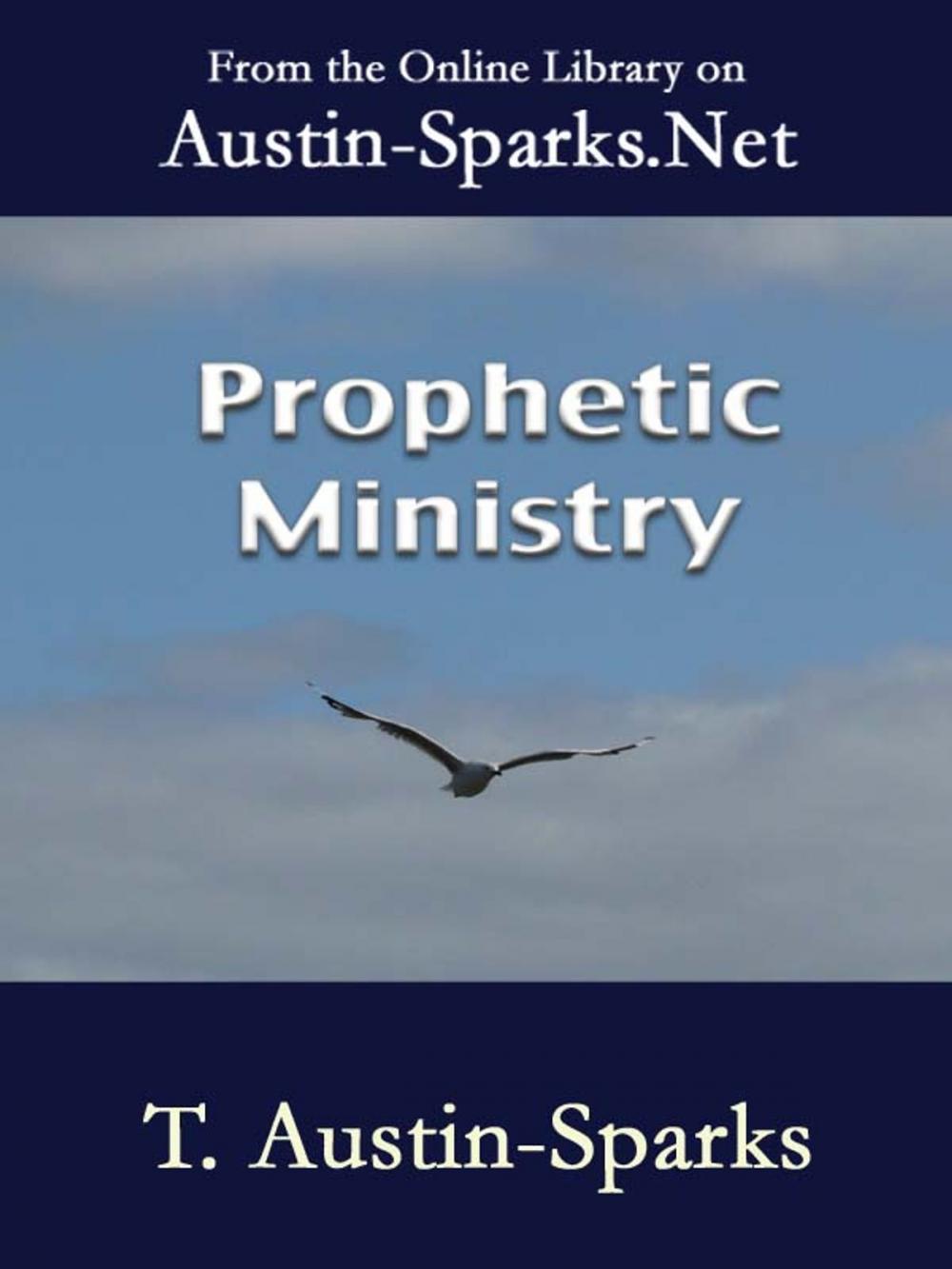 Big bigCover of Prophetic Ministry