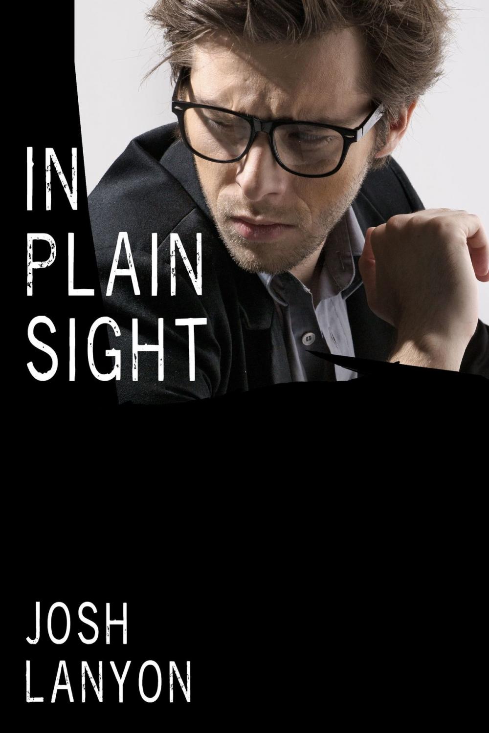 Big bigCover of In Plain Sight