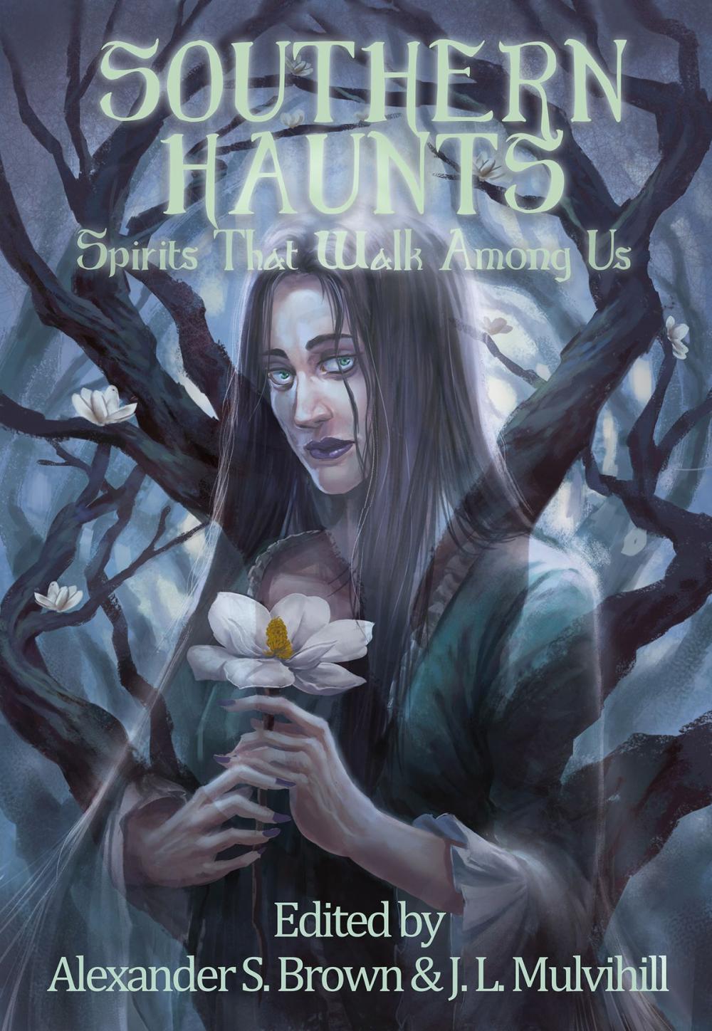 Big bigCover of Southern Haunts: Spirits That Walk Among Us