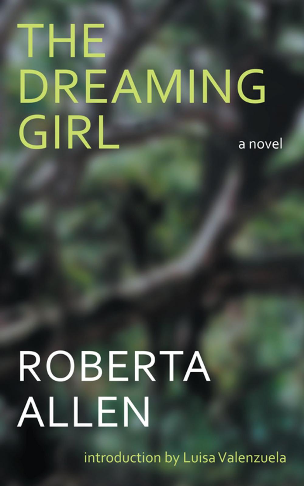 Big bigCover of The Dreaming Girl