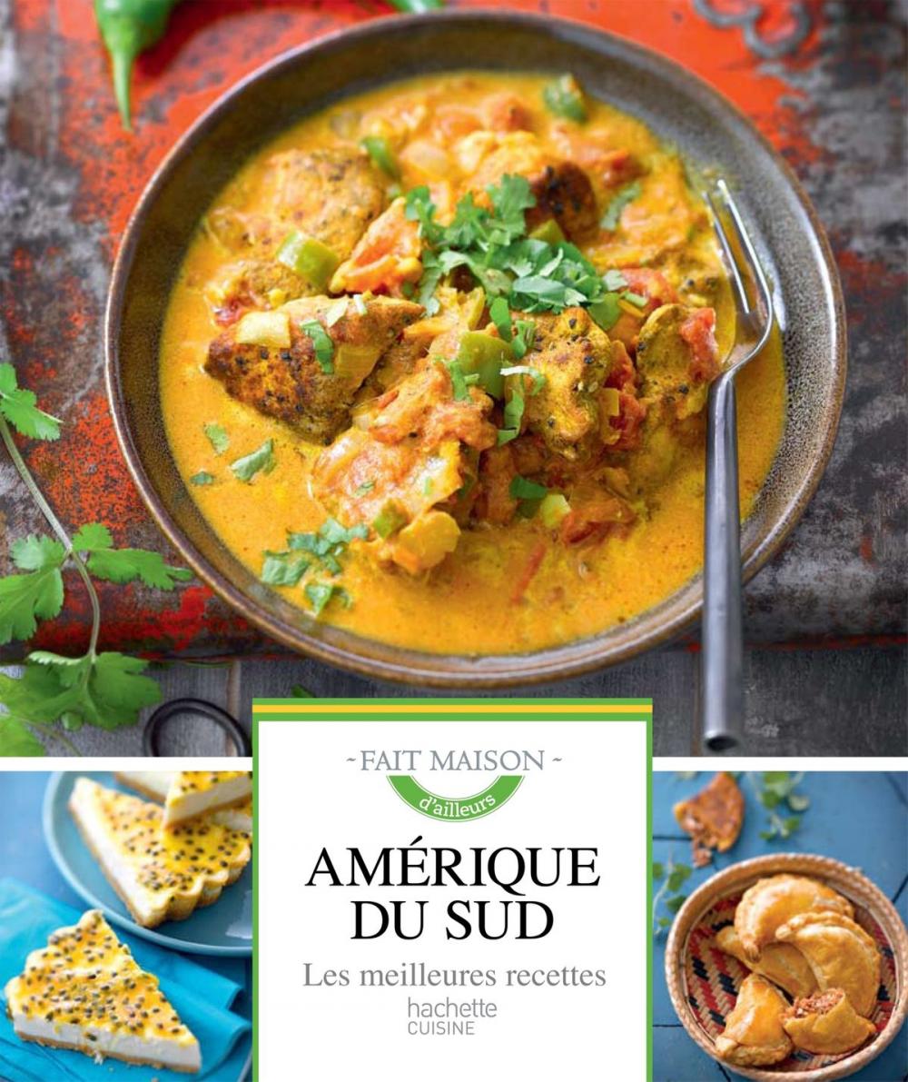 Big bigCover of Amérique du Sud