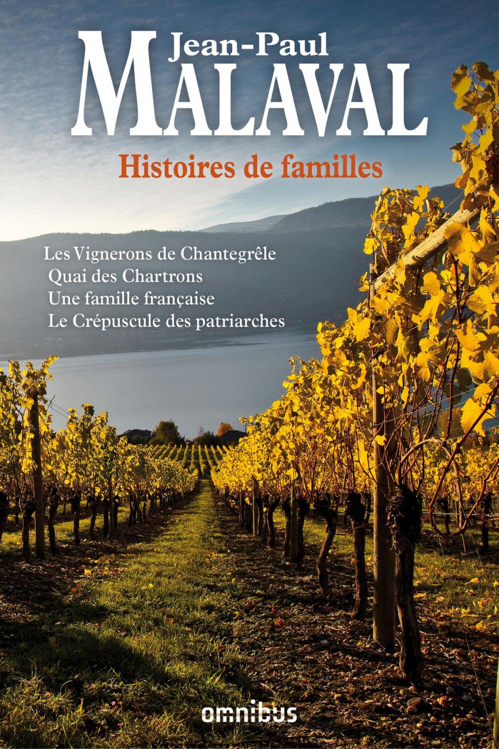 Big bigCover of Histoires de familles