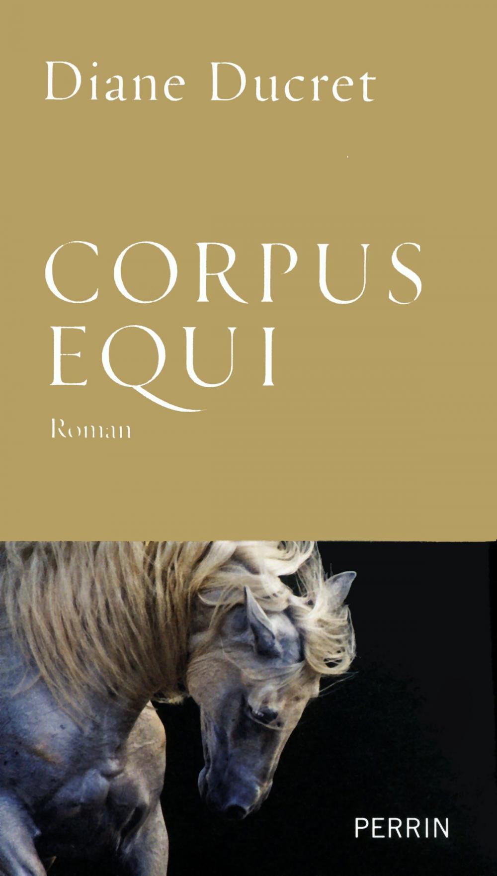 Big bigCover of Corpus Equi