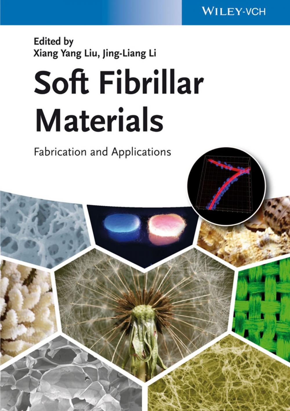 Big bigCover of Soft Fibrillar Materials