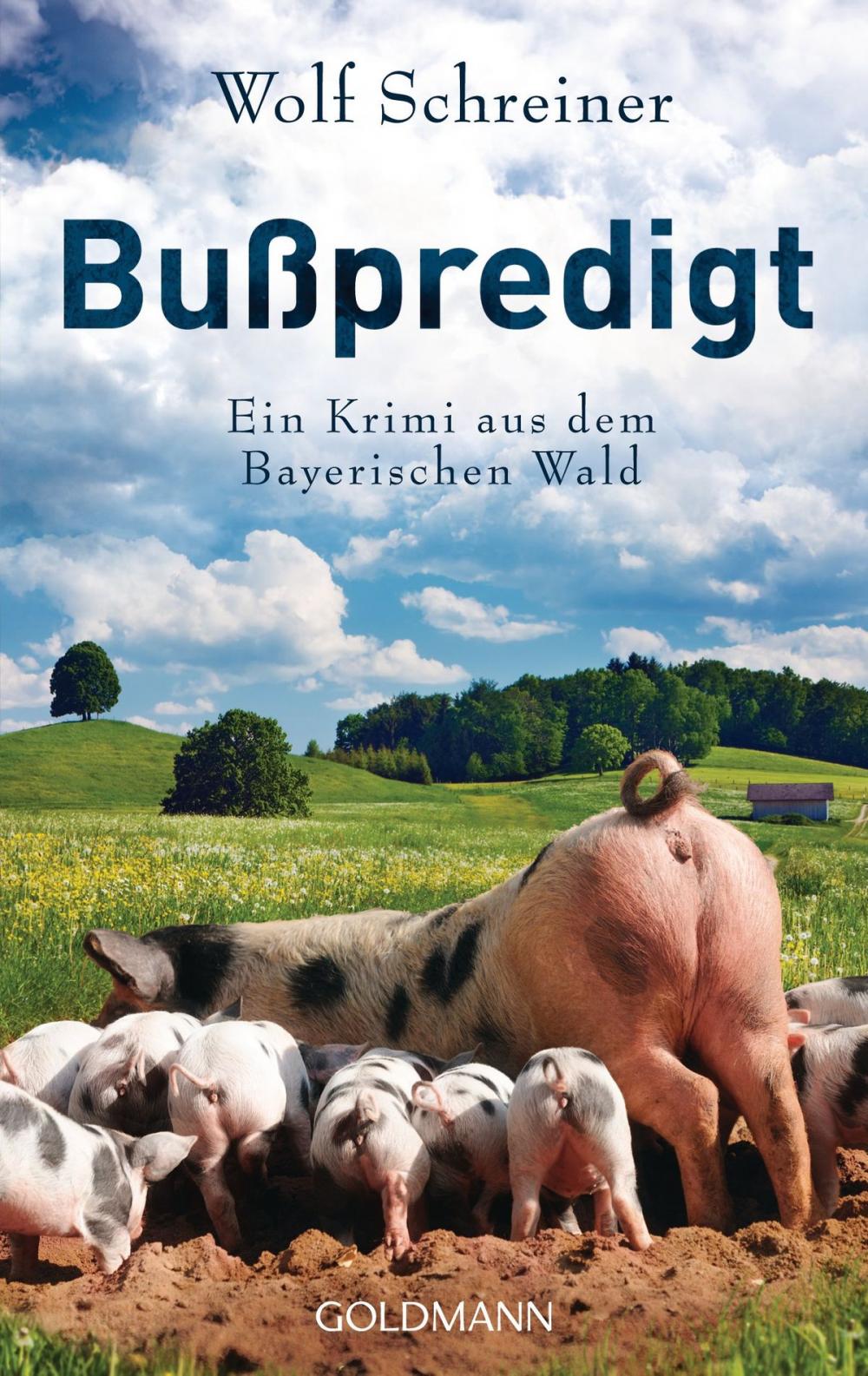 Big bigCover of Bußpredigt