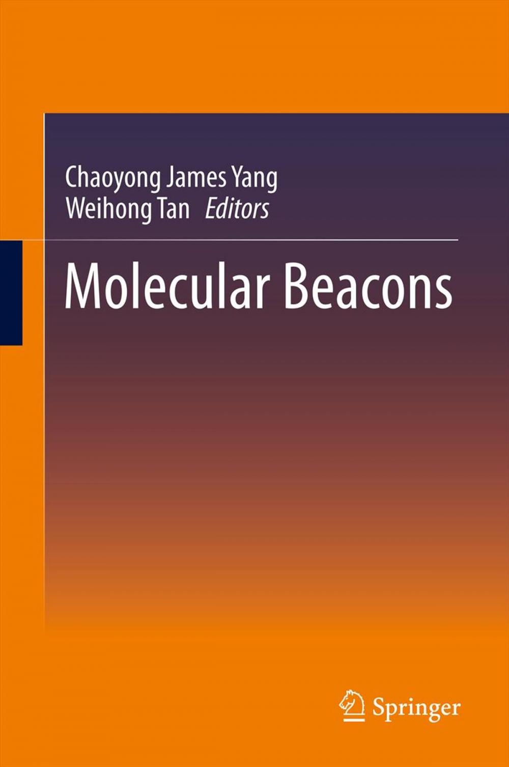 Big bigCover of Molecular Beacons