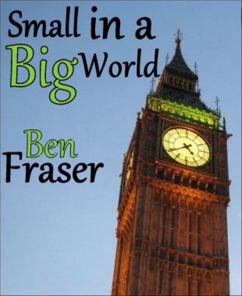 Big bigCover of Small in a Big World