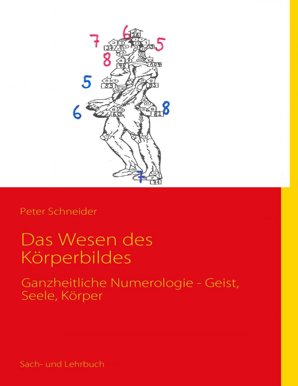 Big bigCover of Das Wesen des Körperbildes