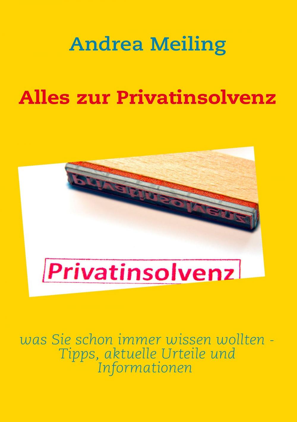 Big bigCover of Alles zur Privatinsolvenz