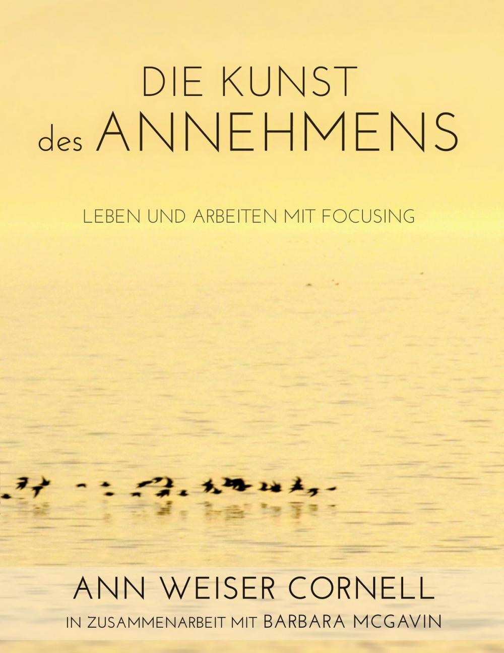 Big bigCover of Die Kunst des Annehmens