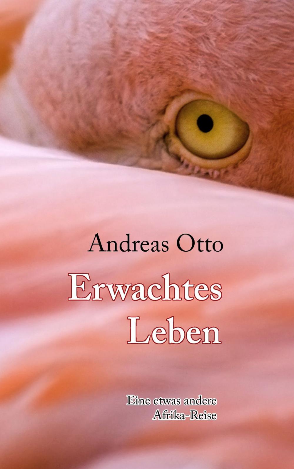 Big bigCover of Erwachtes Leben