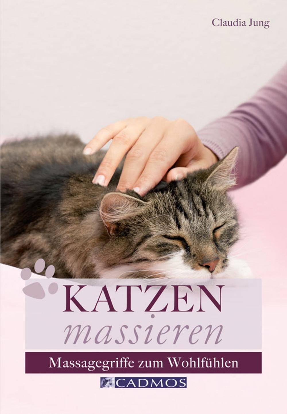 Big bigCover of Katzen massieren