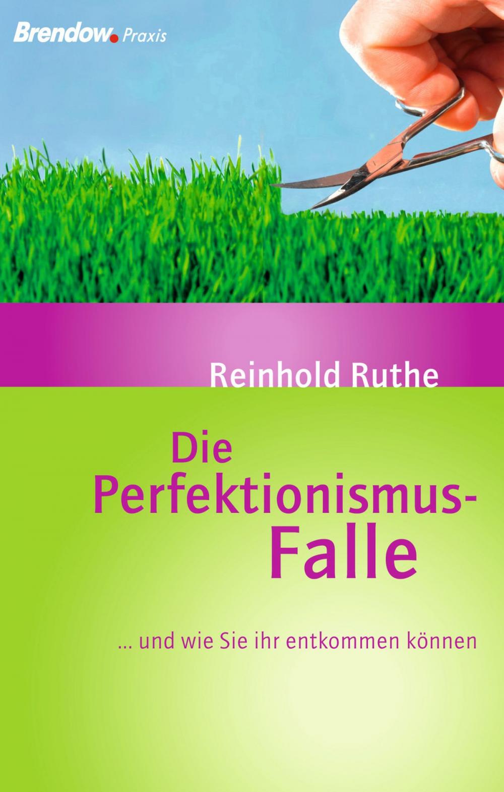 Big bigCover of Die Perfektionismus-Falle