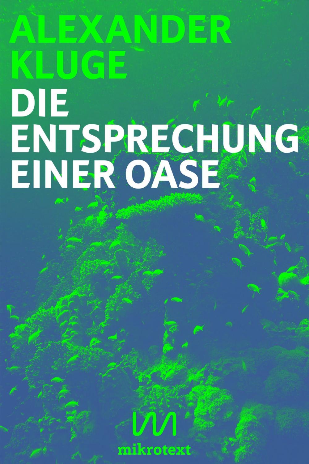 Big bigCover of Die Entsprechung einer Oase