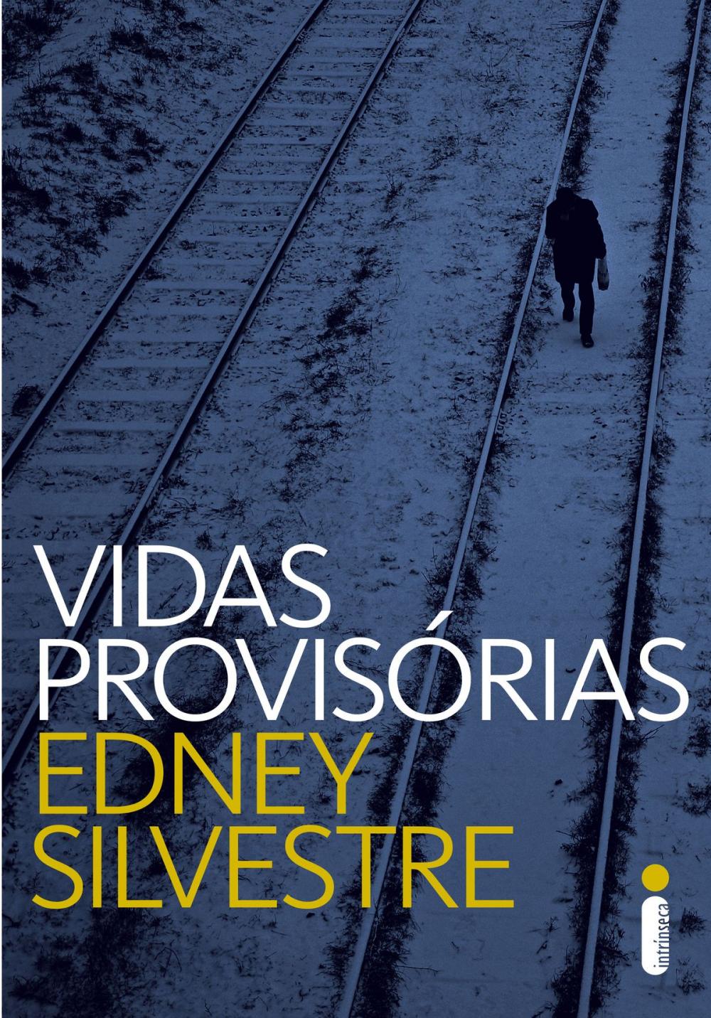 Big bigCover of Vidas provisórias