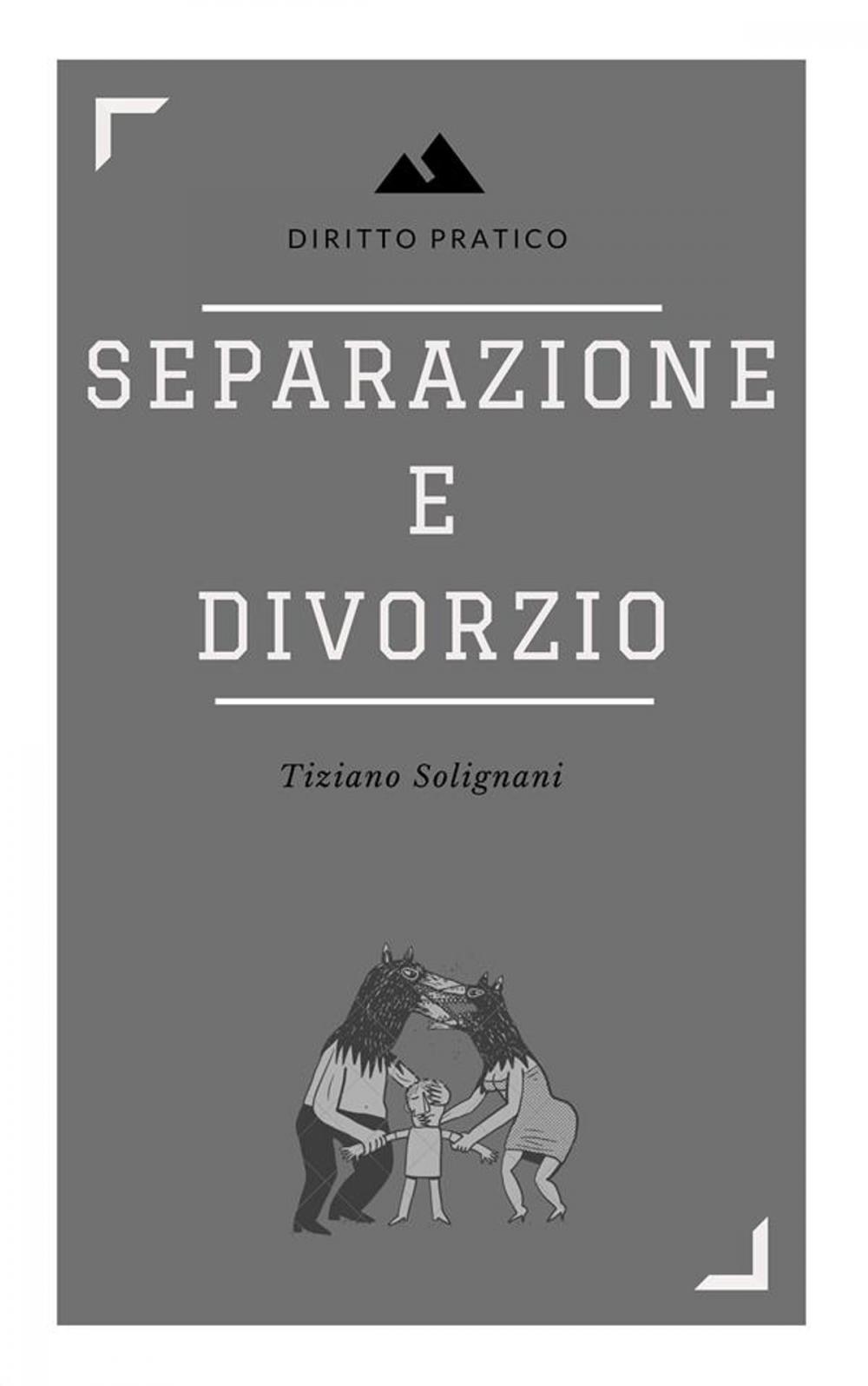 Big bigCover of Separazione e divorzio. Principali aspetti sostanziali e processuali.