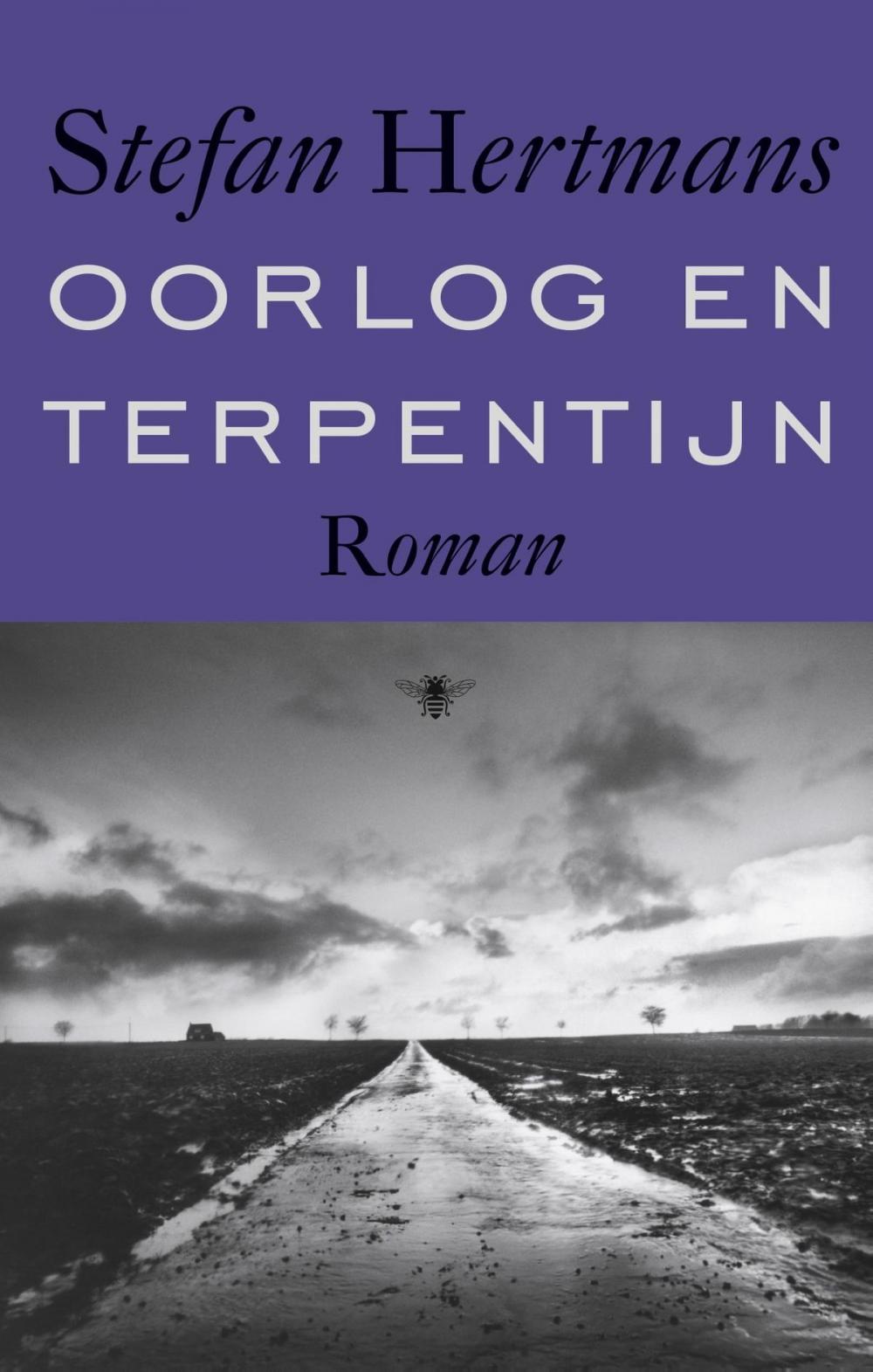 Big bigCover of Oorlog en terpentijn