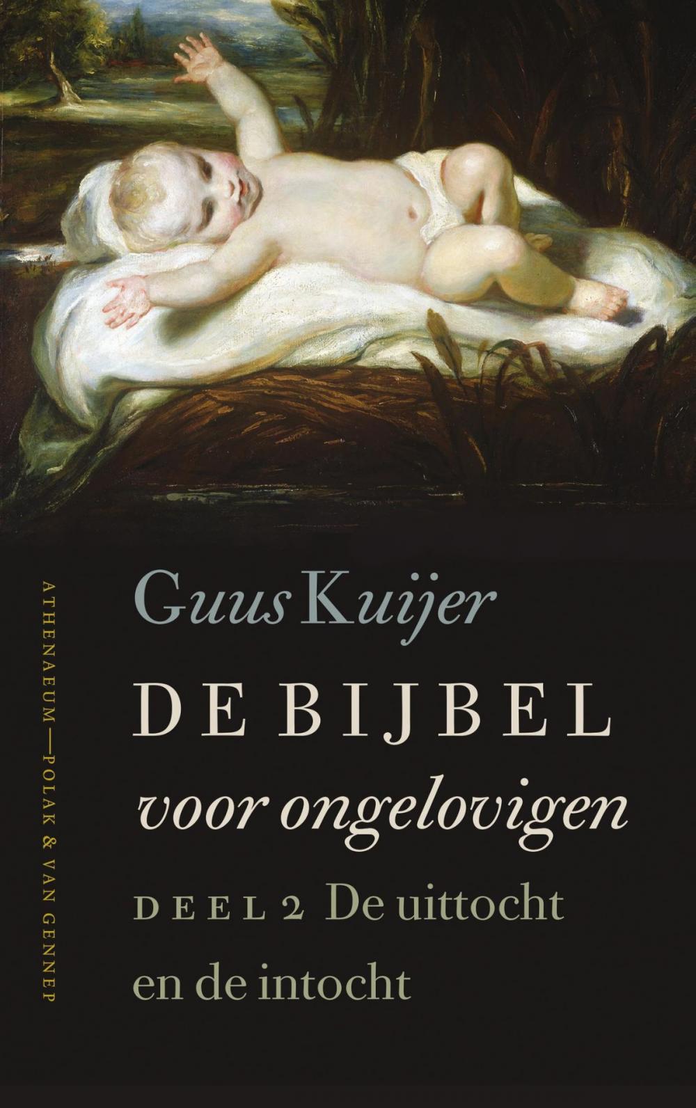 Big bigCover of De Bijbel voor ongelovigen