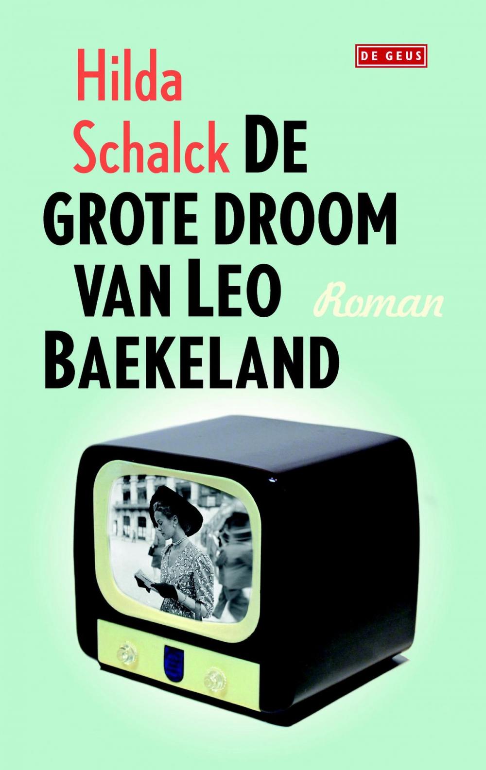 Big bigCover of De grote droom van Leo Baekeland