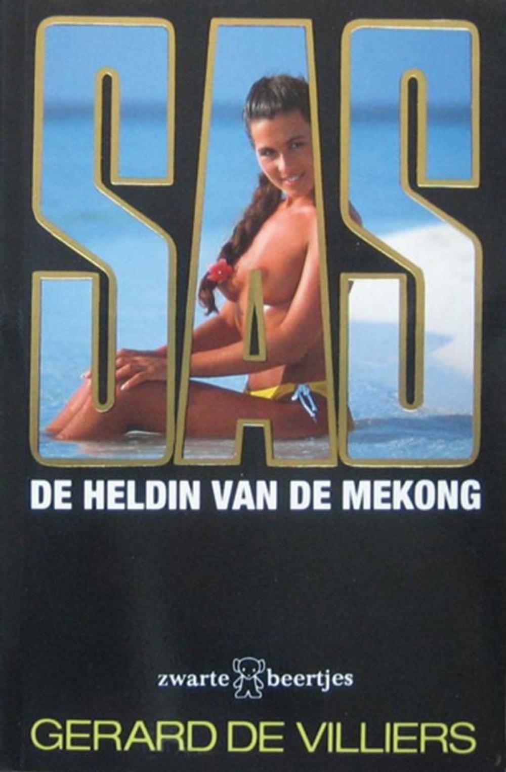 Big bigCover of De heldin van de Mekong